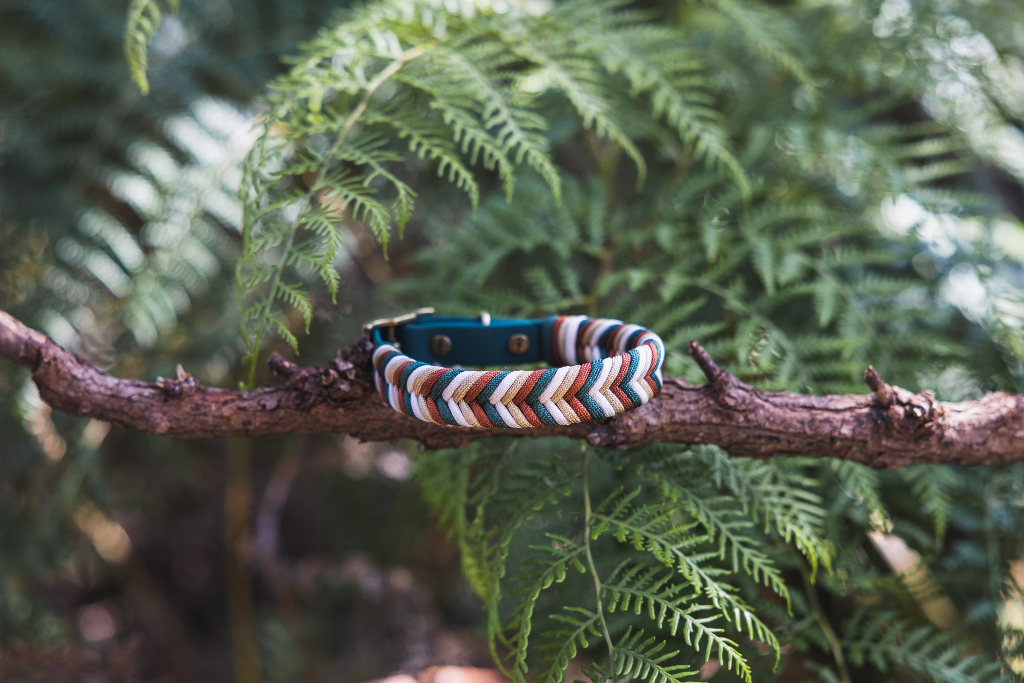 Custom Paracord Collar Wildwoods - Design your own!