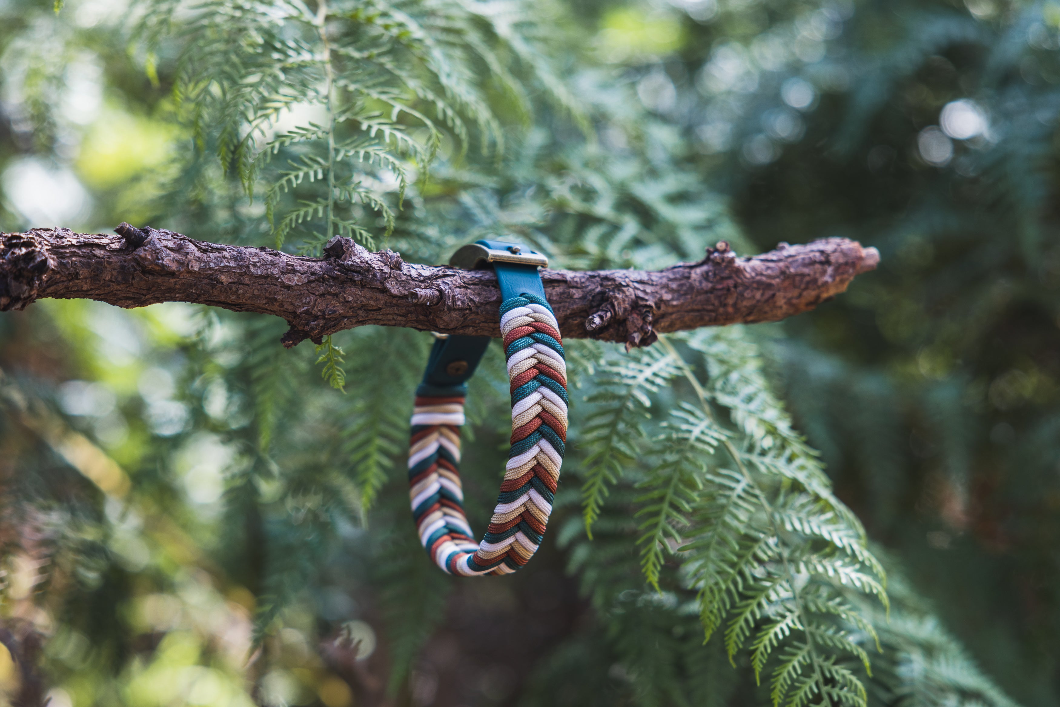 Custom Paracord Collar Wildwoods - Design your own!