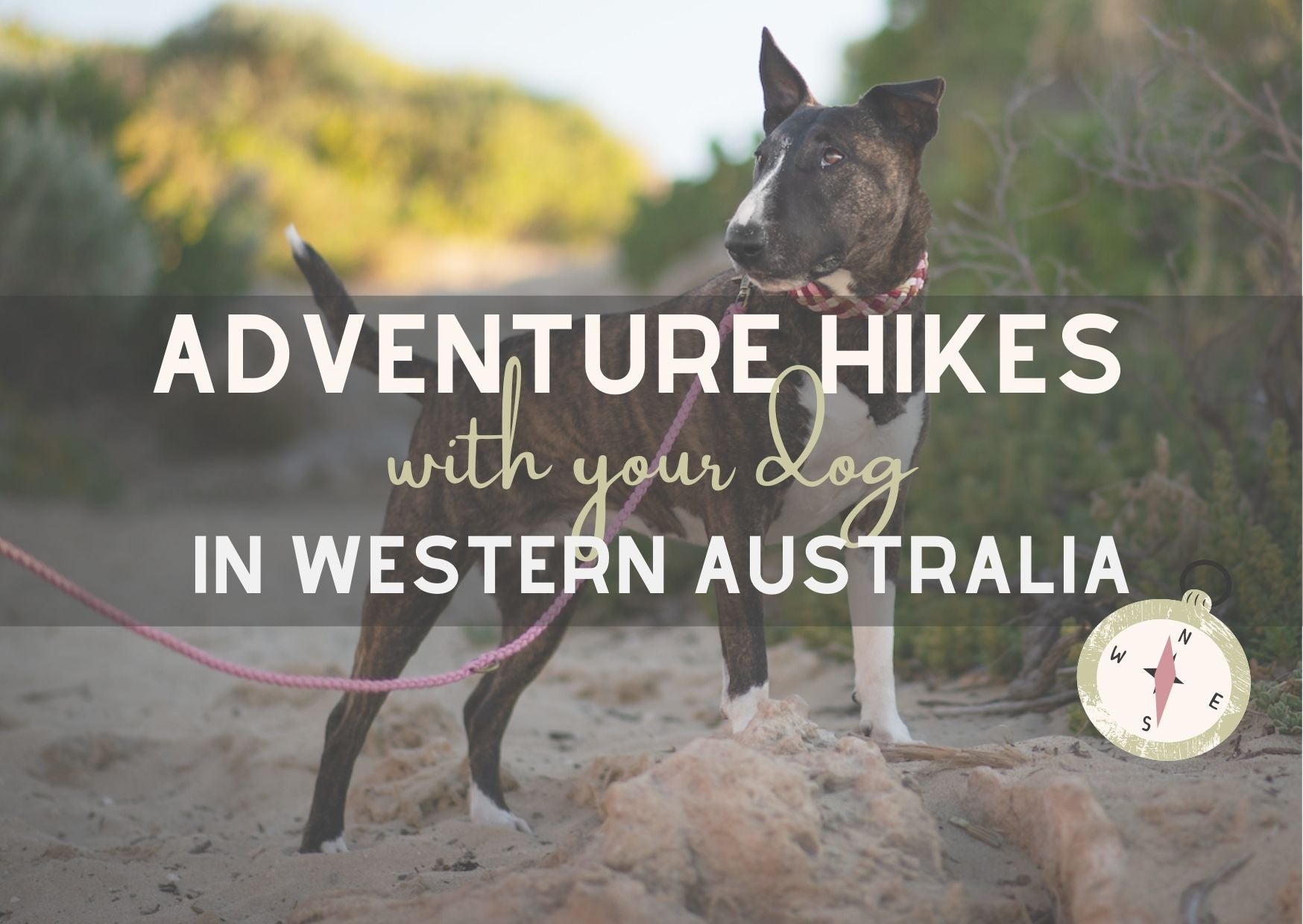Stunning places to enjoy an adventure hike with your dog in Western Australia