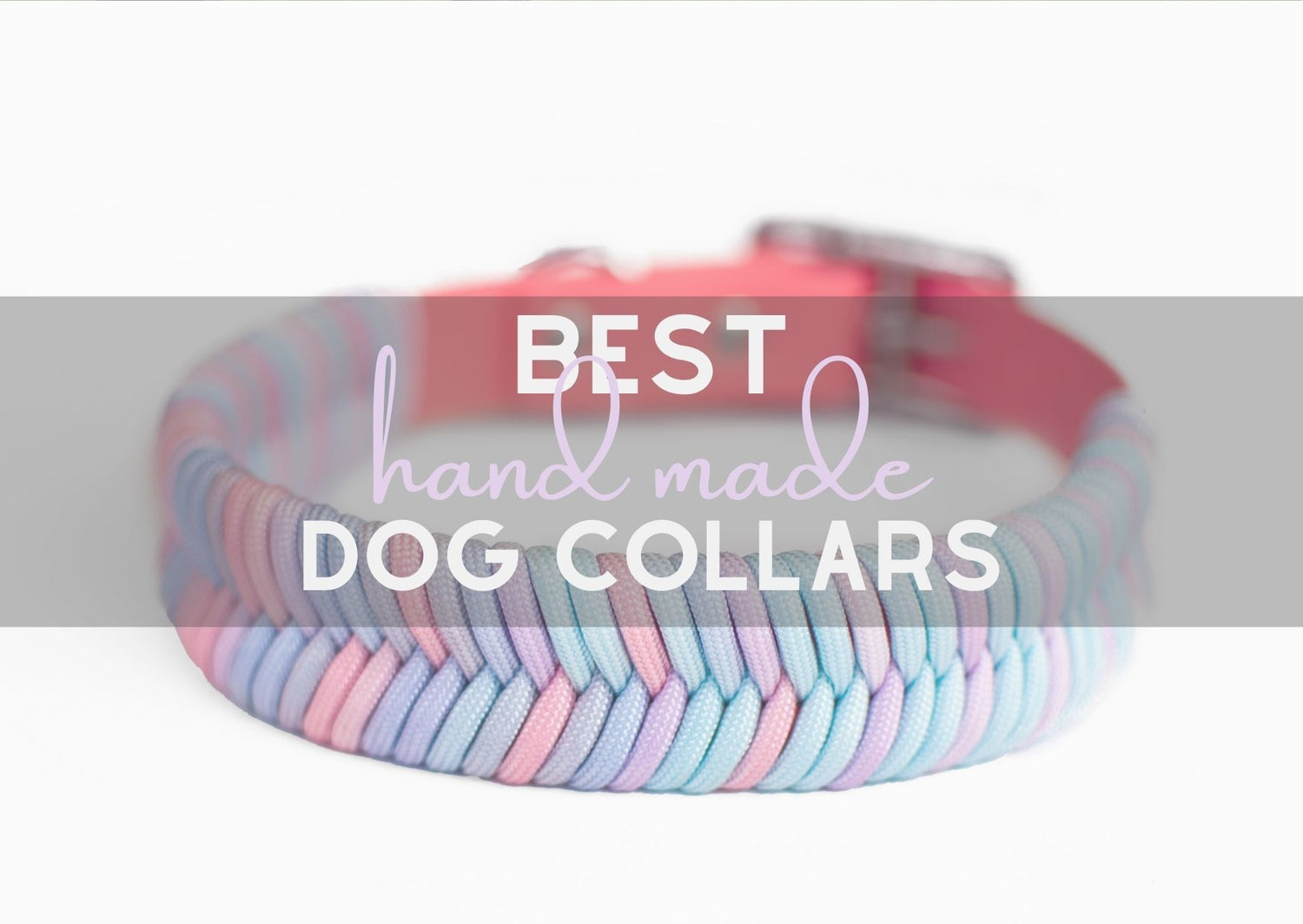 Best Handmade Dog Collars in 2022