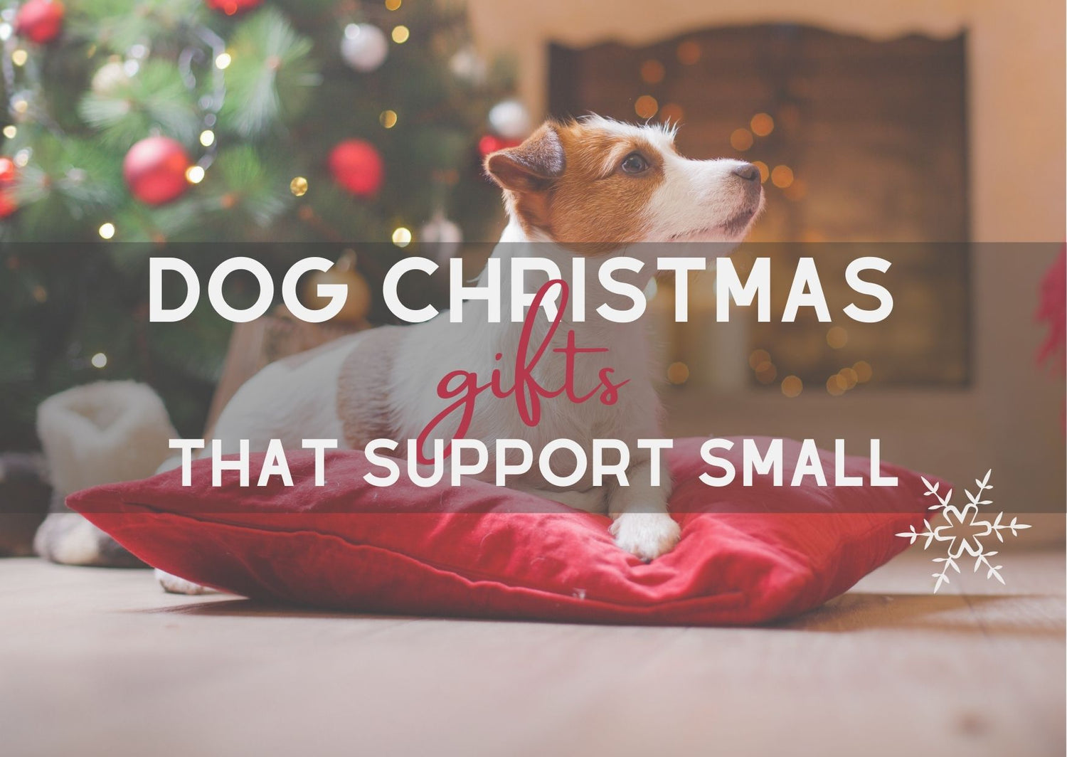 Dog Christmas Gifts that support small