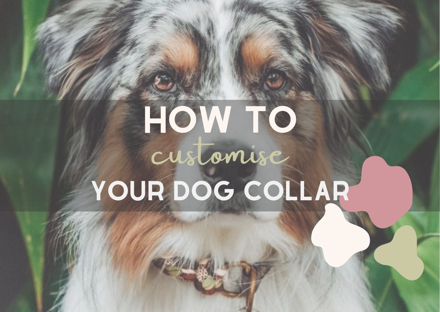 How to: Custom Dog Collar - Personalised for your Pet