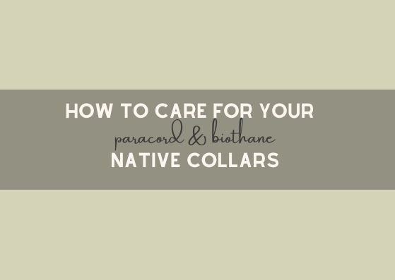 How to care for your Paracord & BioThane Native Collars