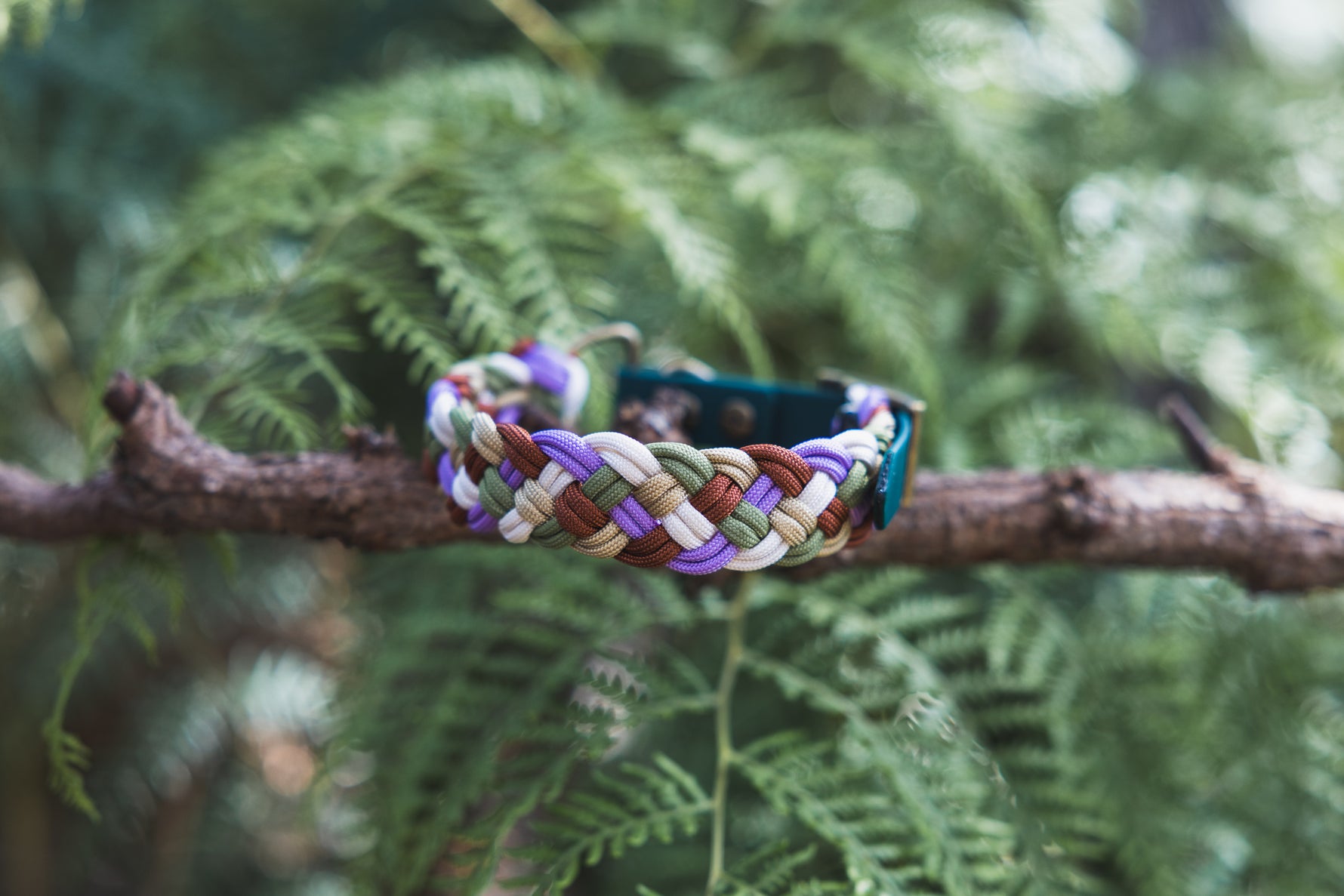 Paracord Dog Collars Native Collars Australian Handmade