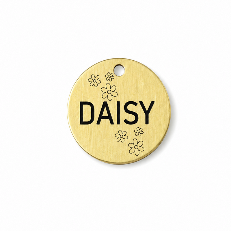 Round-brass-dog-id-tag-with-paw-symbol