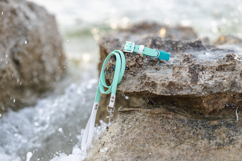 Waterproof Leashes