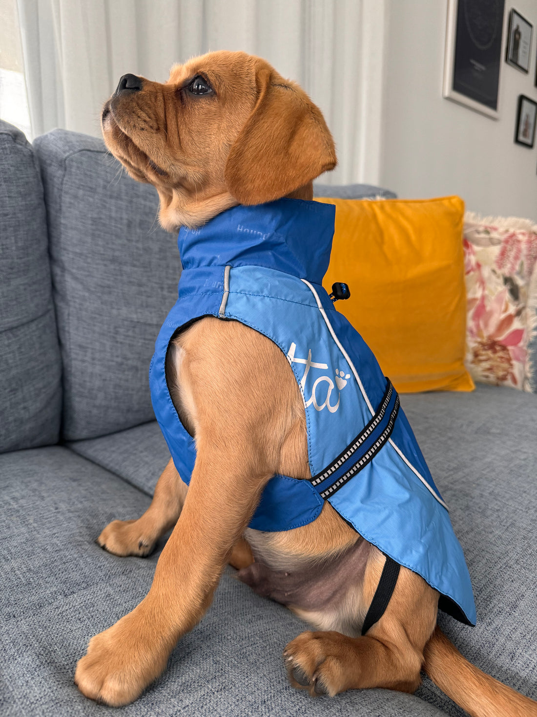 Hurtta Raincoat