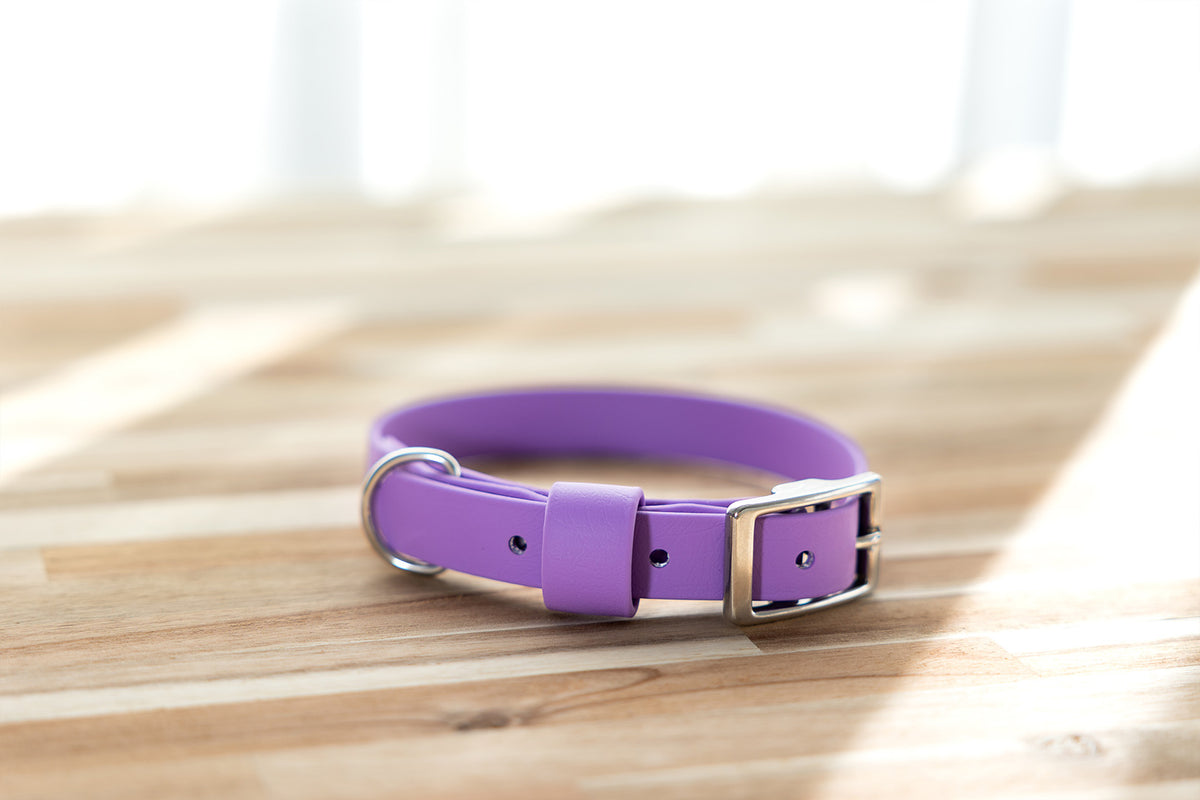 Waterproof Dog Collar - BioThane® Amethyst