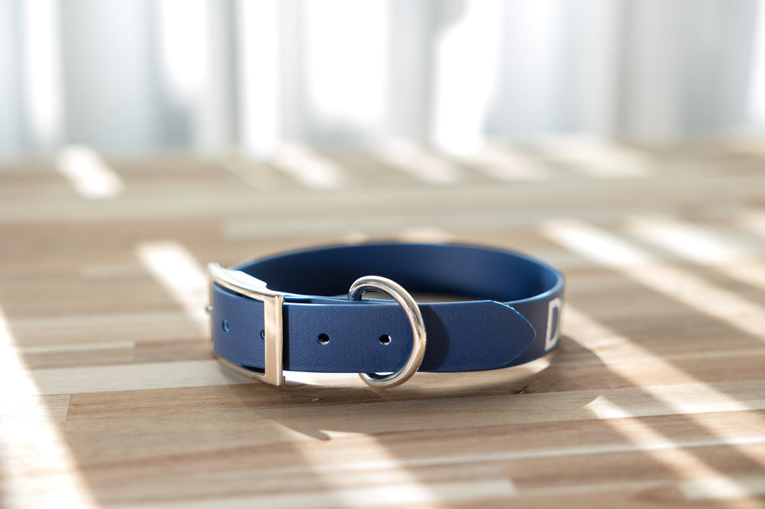 Biothane Collar - Navy, DEAF