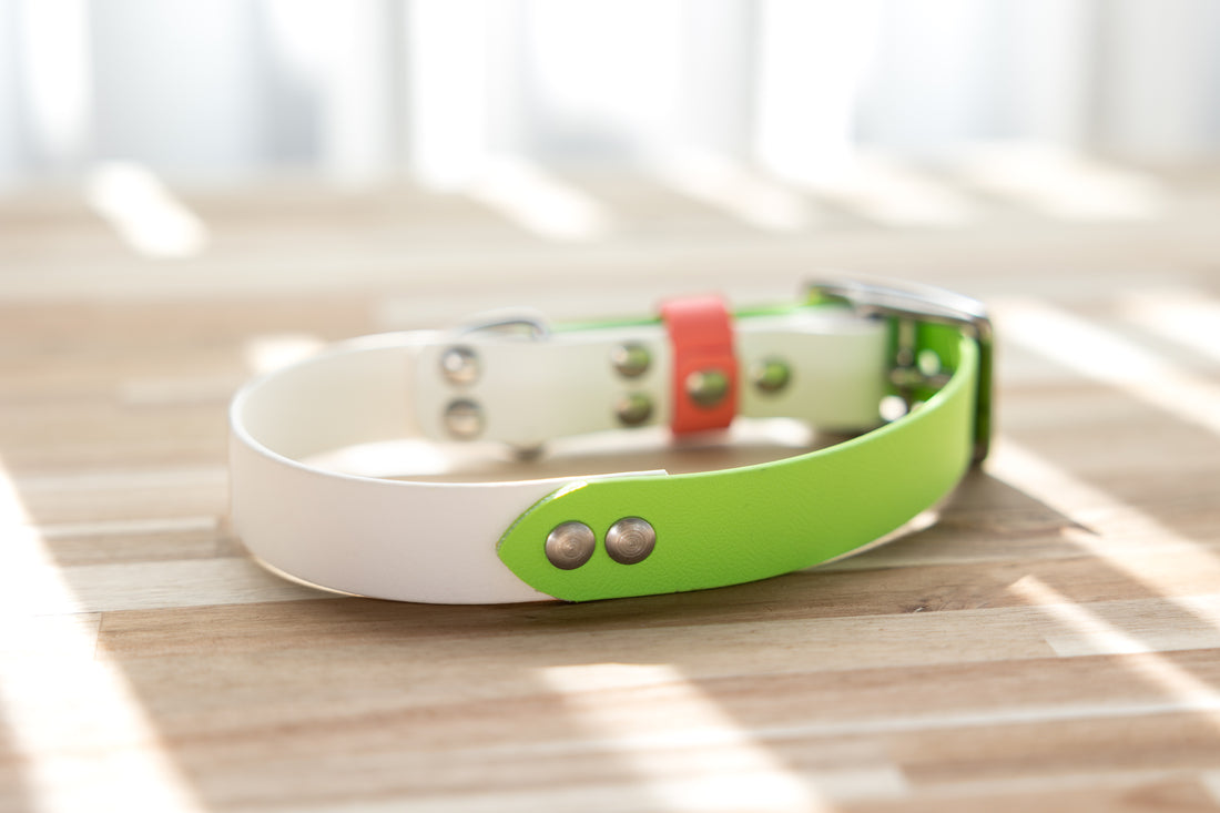 Three tone Biothane Collar - Apple Green, White and Coral