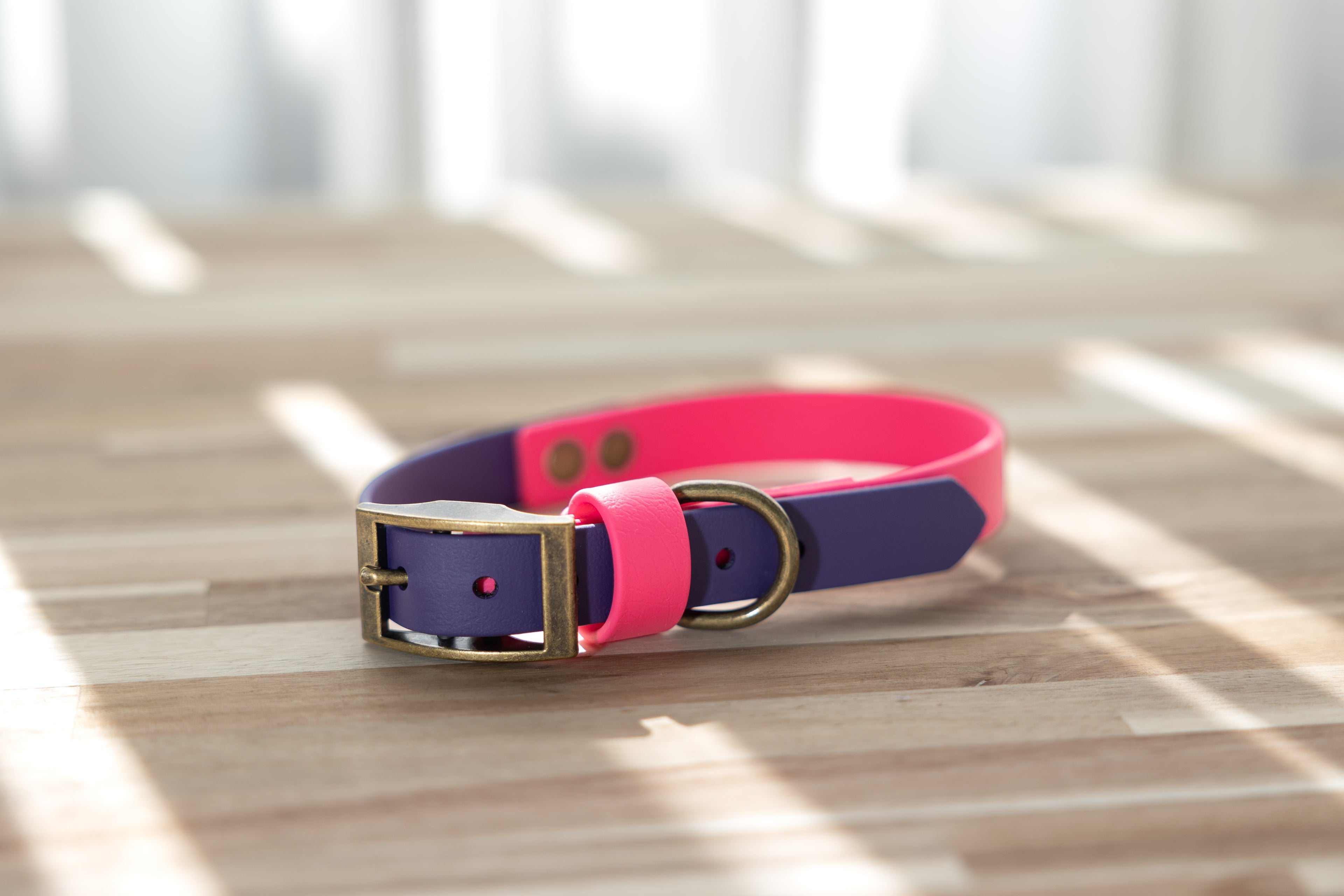 Two Tone Biothane Collar - Passion Pink and Purple