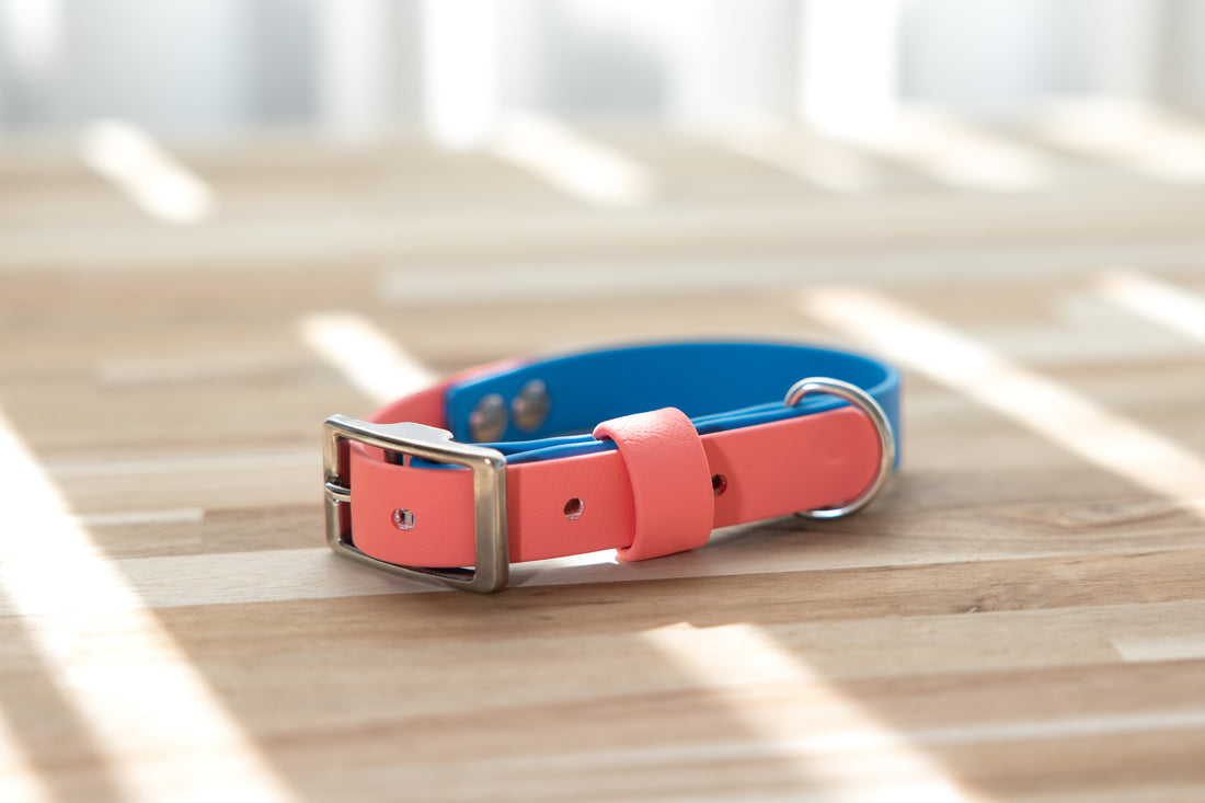 BioThane Two Tone Dog Collar - Coral and Blue