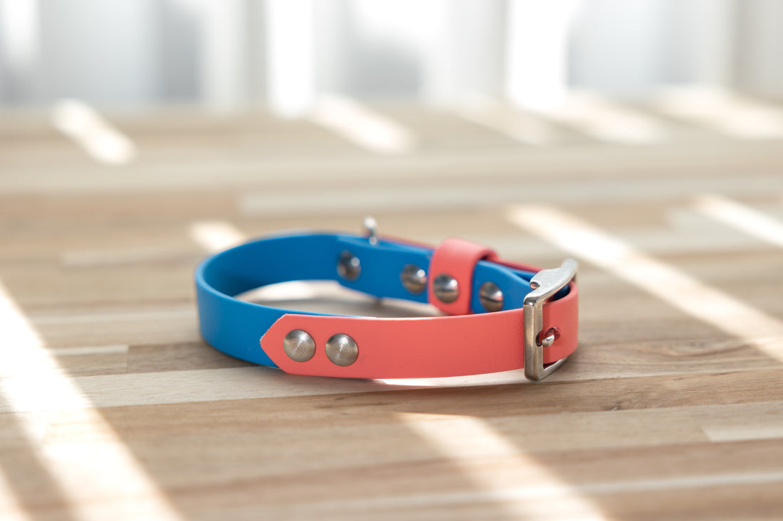 BioThane Two Tone Dog Collar - Coral and Blue