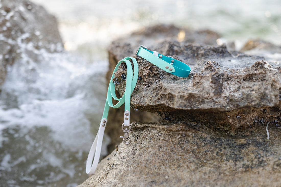 Pastel Biothane Lead