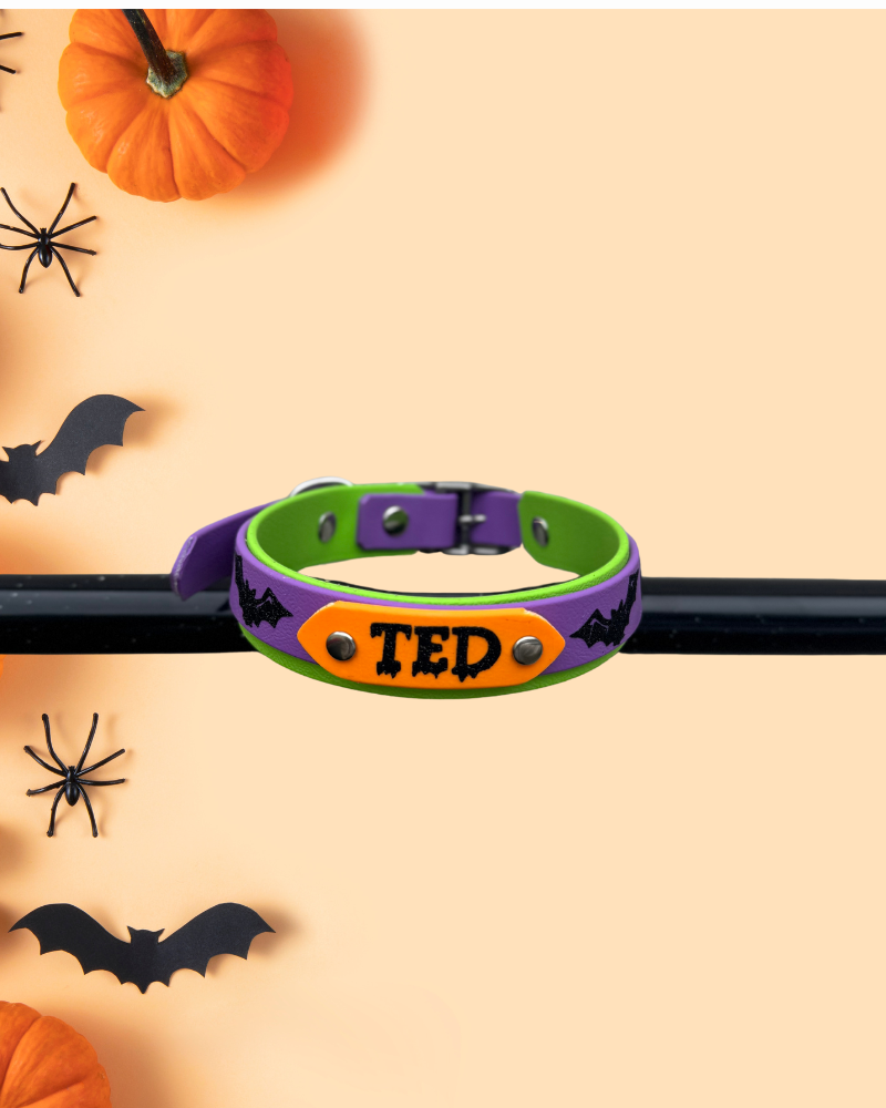 Hocus Pocus Collar