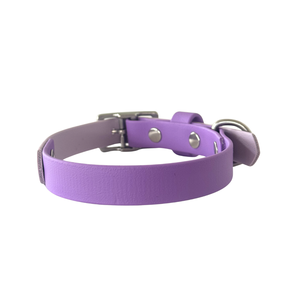 Waterproof Dog Collar Multi Tone – Design your own