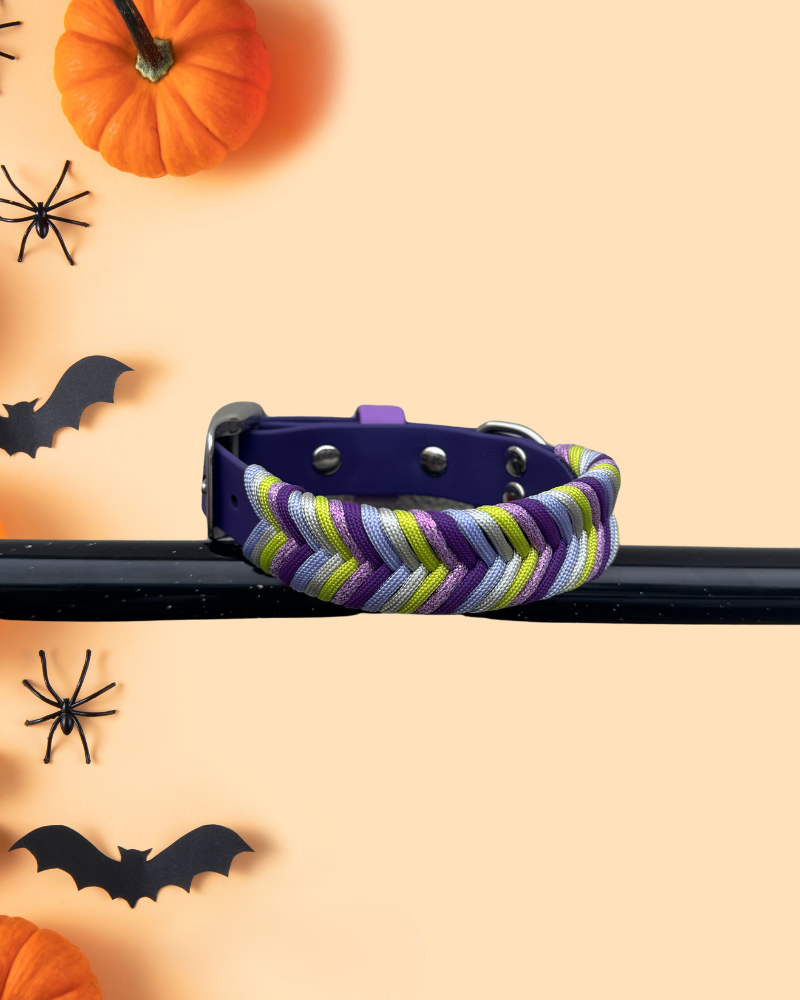 Wicked Whispers Collar