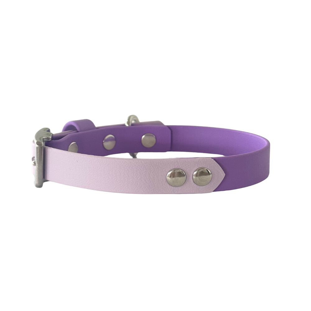Waterproof Dog Collar Multi Tone – Design your own