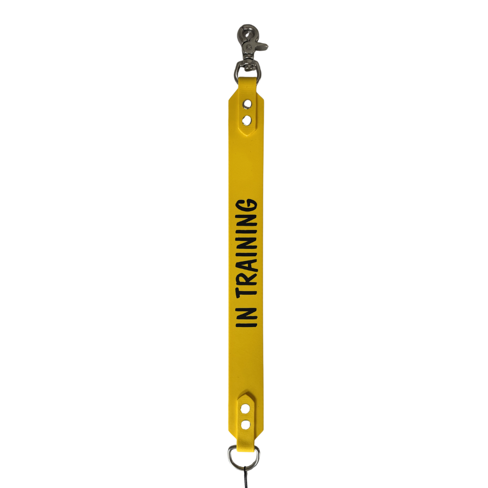Custom print Leash extender