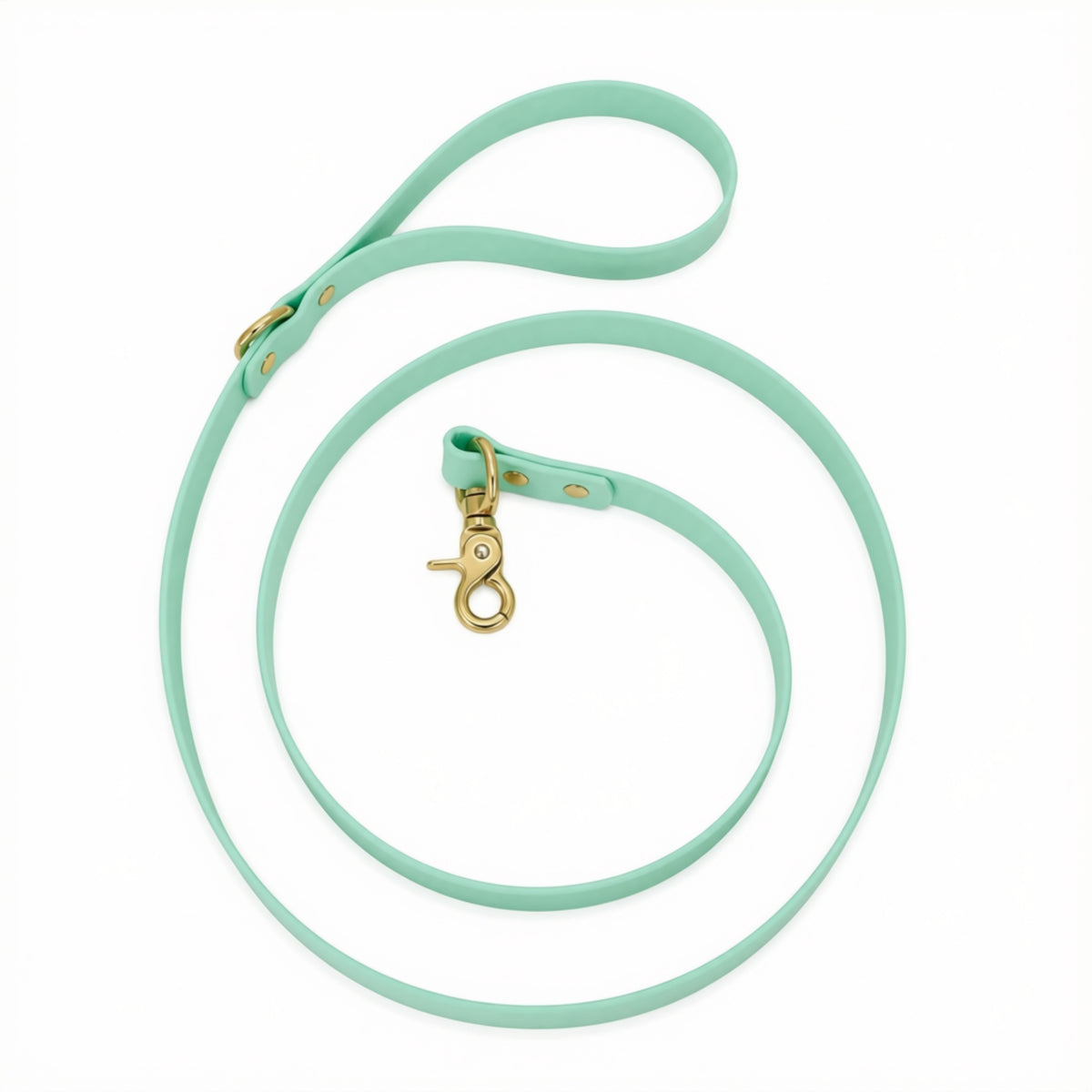Waterproof BioThane® Dog Leash Seafoam