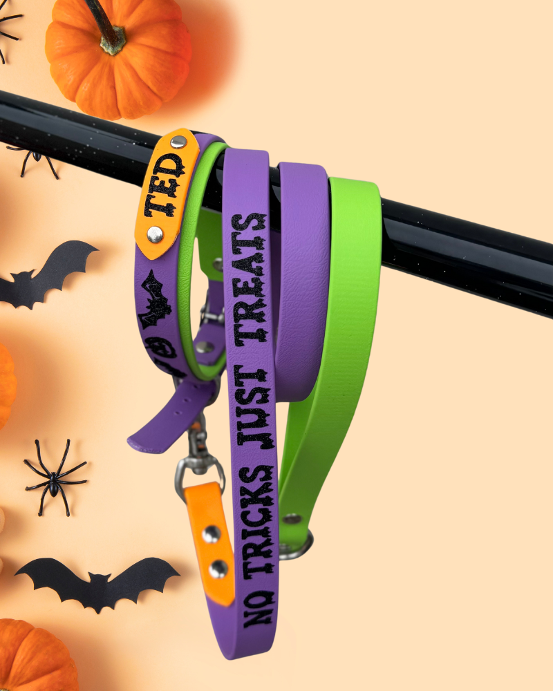 Hocus Pocus Lead
