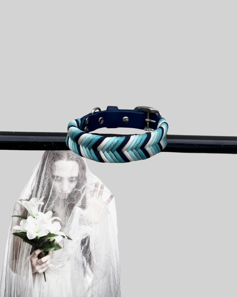 Frosted Vows Collar
