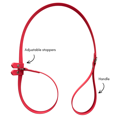 Slip Lead
