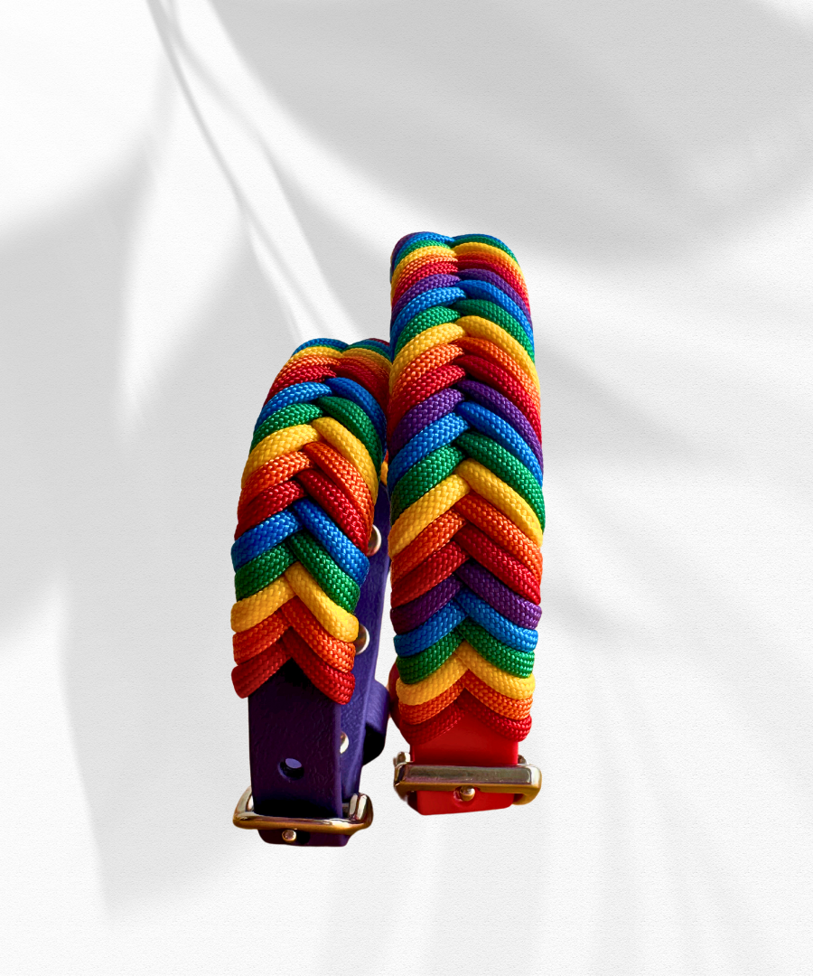 Love Wins Wildwoods Collar
