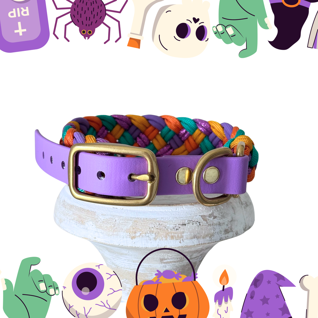 Hocus Braidus Collar