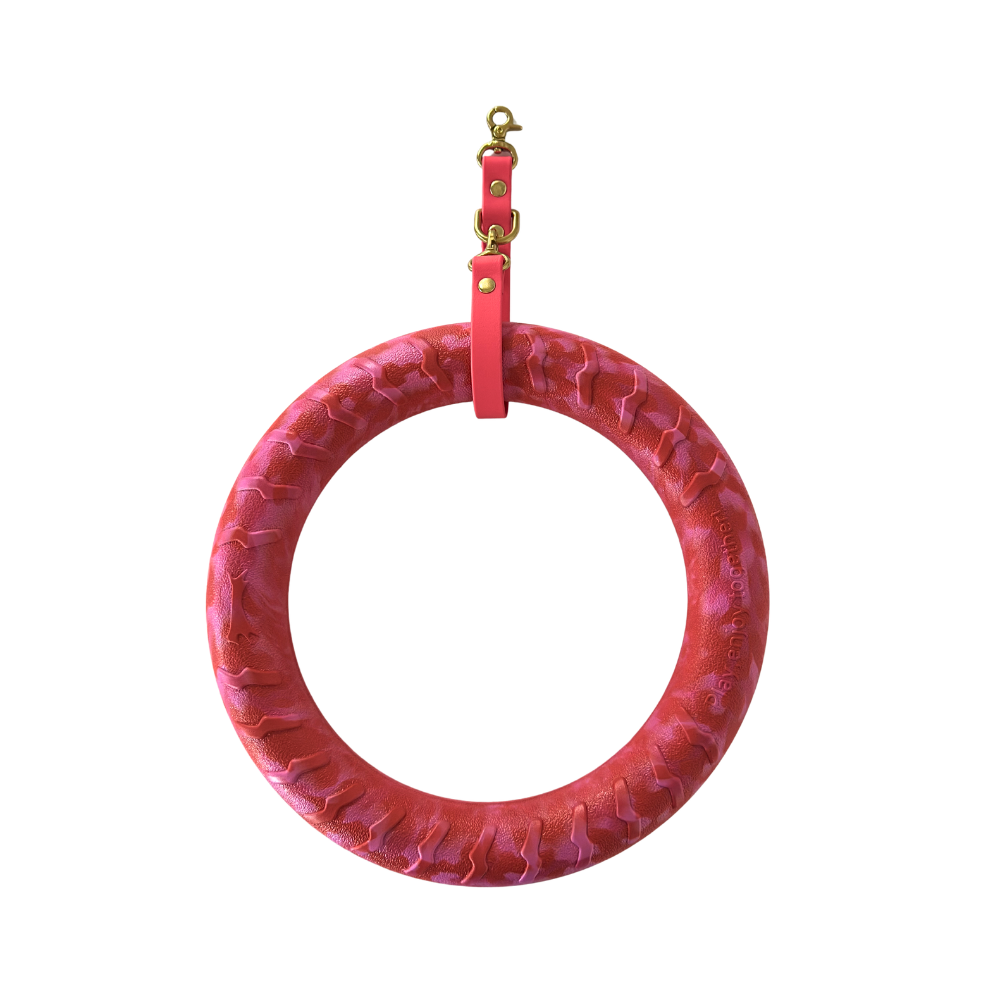 Ring + Ring Holder