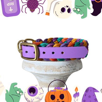 Hocus Braidus Collar