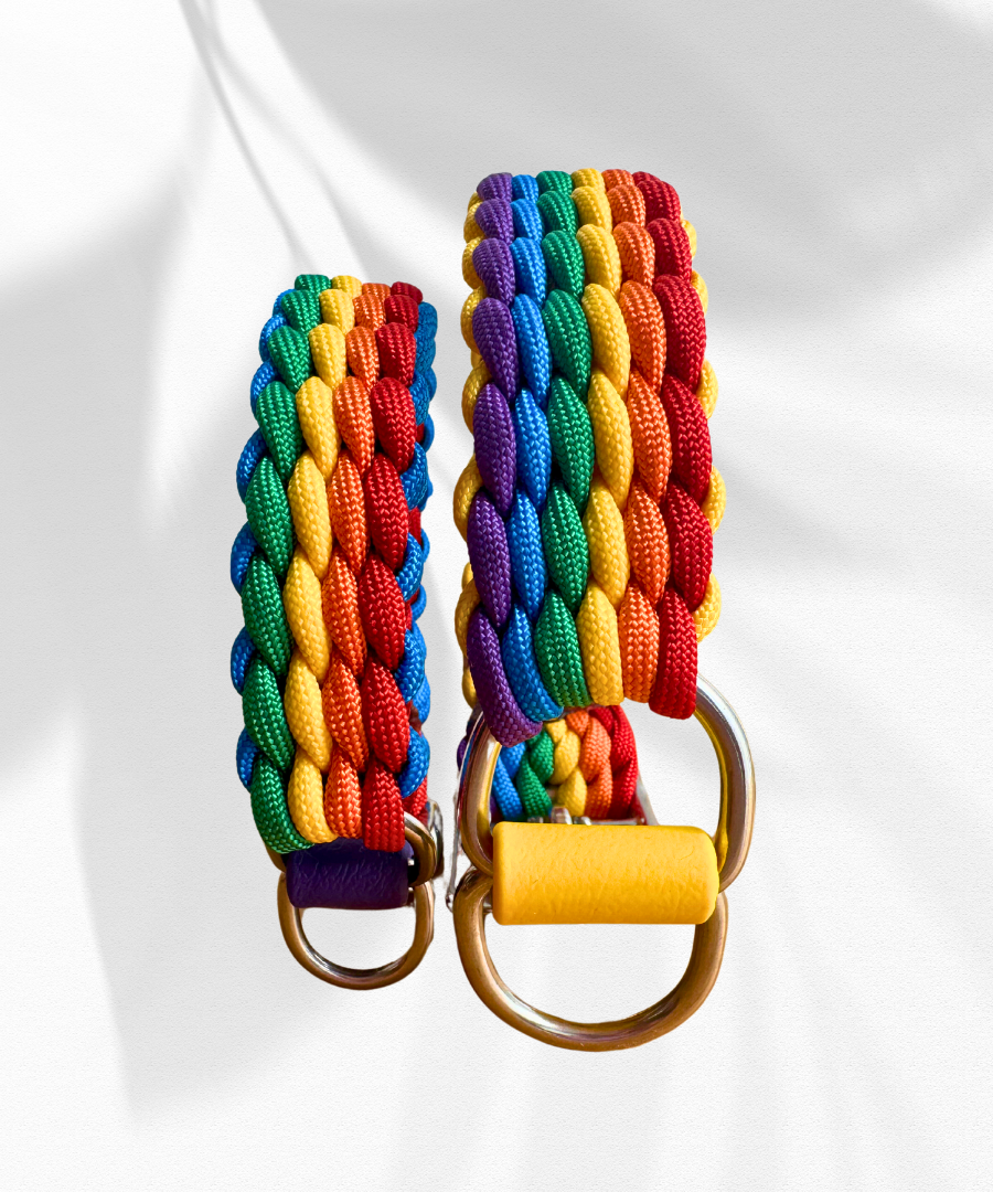 Love Wins Tiny Paracord Collar (for smaller breeds)