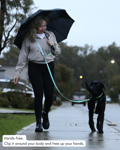5 in 1 Multifunctional BioThane Dog Lead - Design Your Own