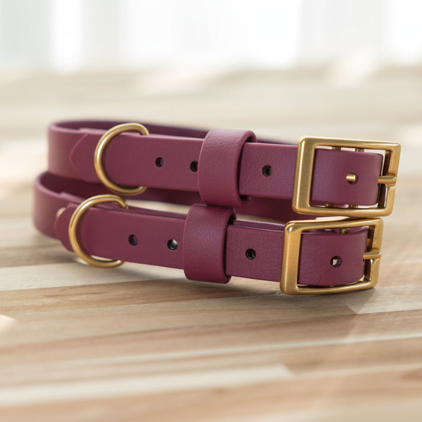 Waterproof Dog Collar - BioThane® Burgundy