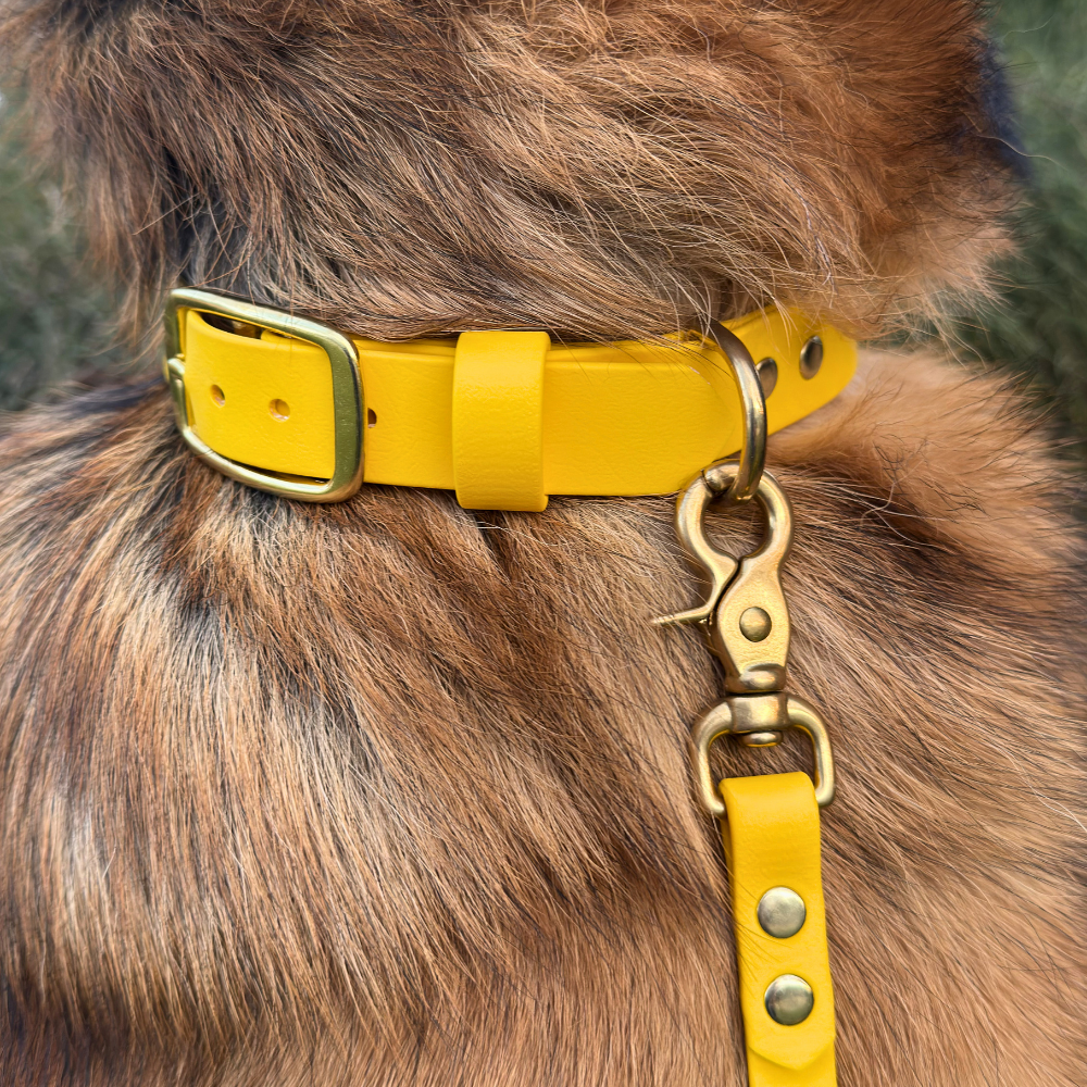 Complete Dog Training Bundle