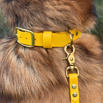 Complete Dog Training Bundle
