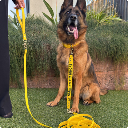 Complete Dog Training Bundle