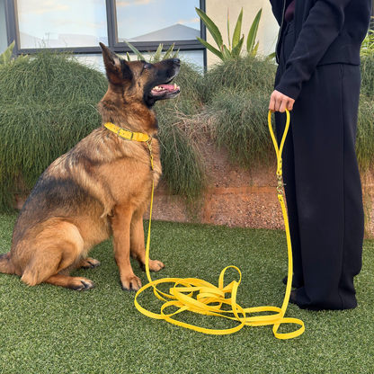 Complete Dog Training Bundle