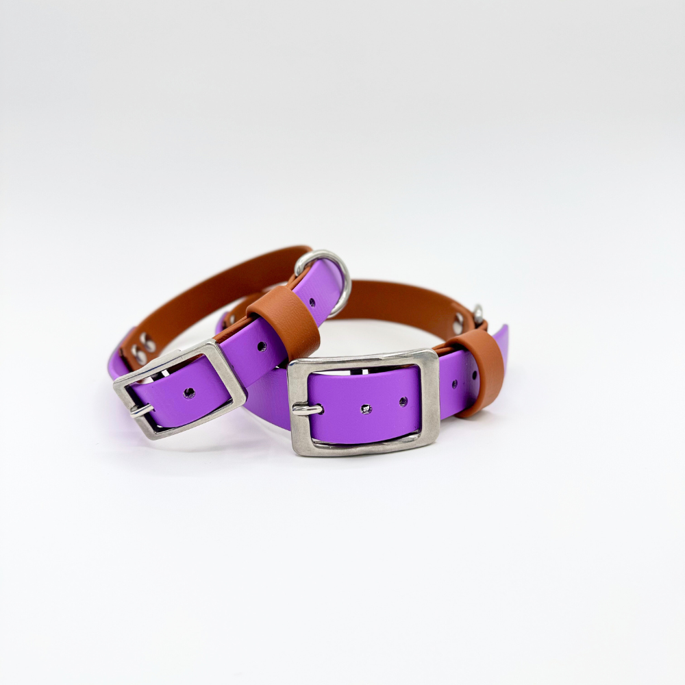 Waterproof BioThane® Dog Collar - Two tone/amethyst