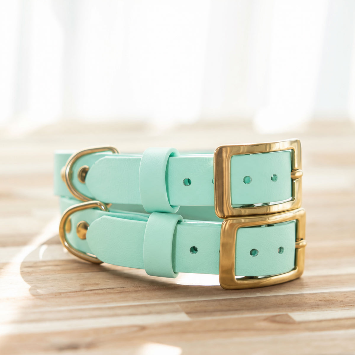 Waterproof Dog Collar - BioThane® Seafoam