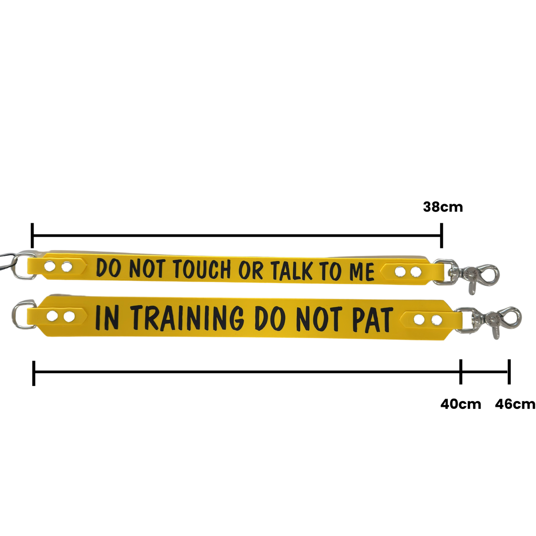 Bundle - Collar, Tag, Traffic Leash + extender