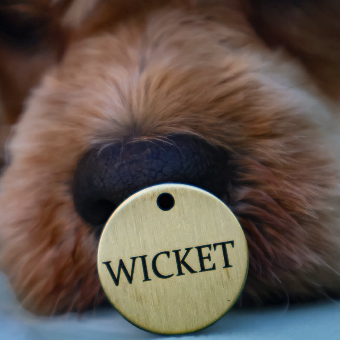 Native Dog Metal Tag - Wicket