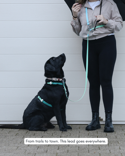 5 in 1 Multifunctional BioThane Dog Lead - Design Your Own