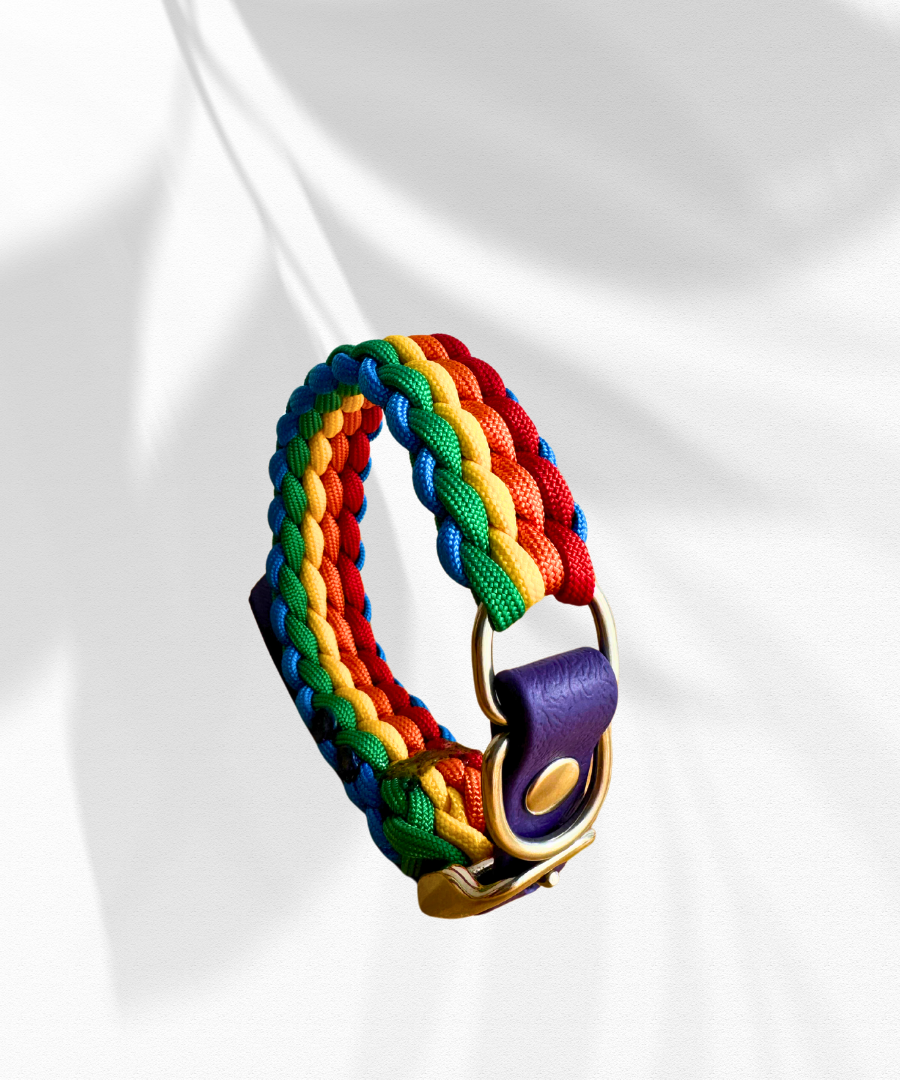 Love Wins Tiny Paracord Collar (for smaller breeds)