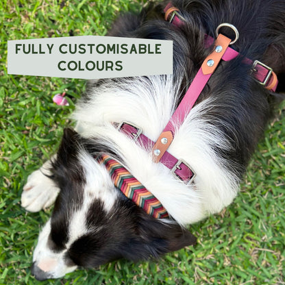 Custom BioThane Dog Harness &