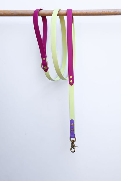 Rainbow Pop - Biothane Collar