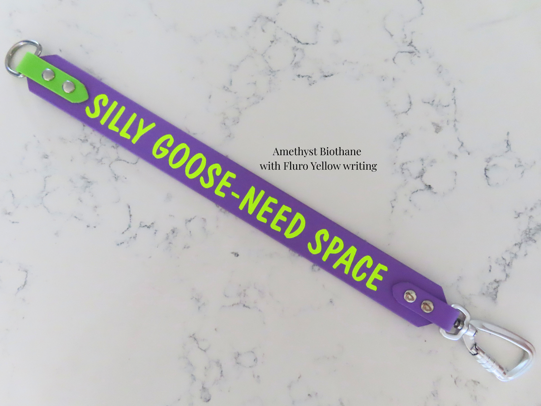 Zero Manners Club - double sided print