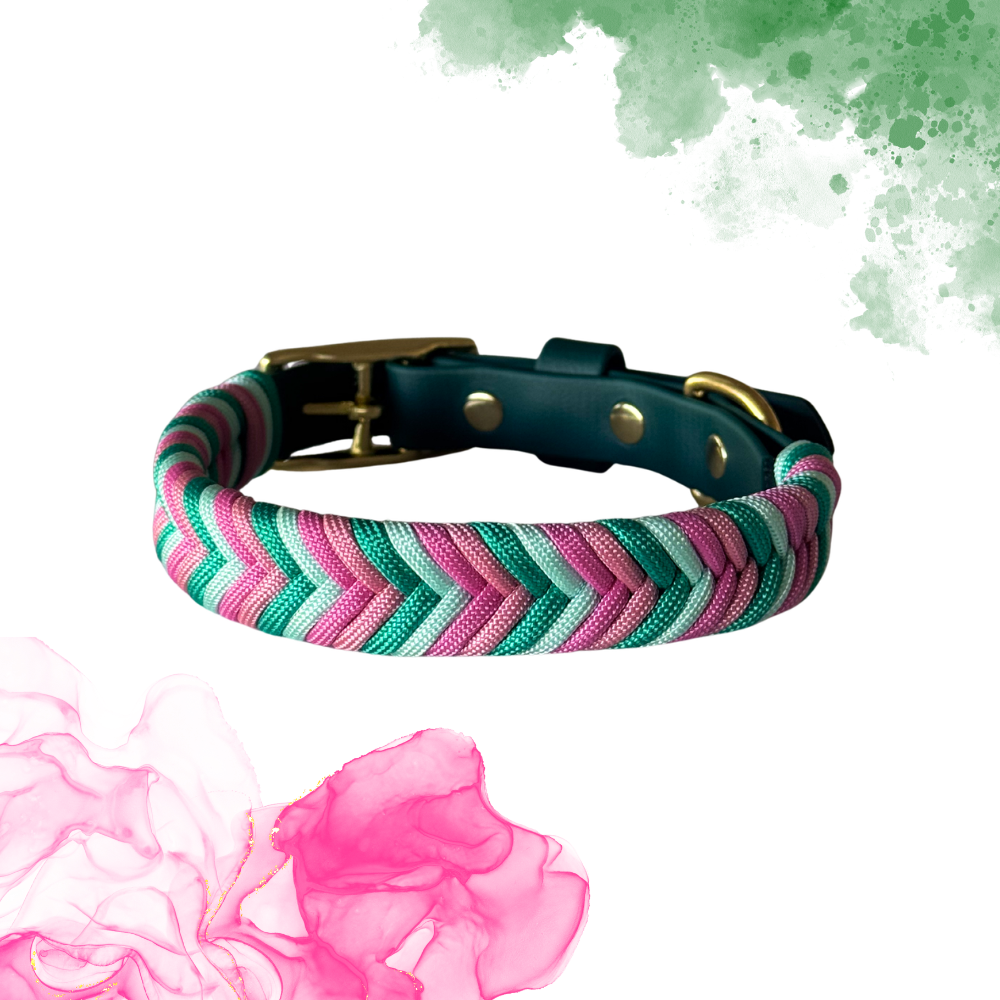 Wicked Collar