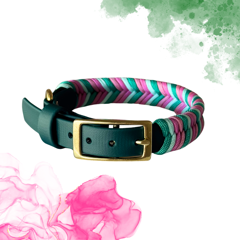 Wicked Collar