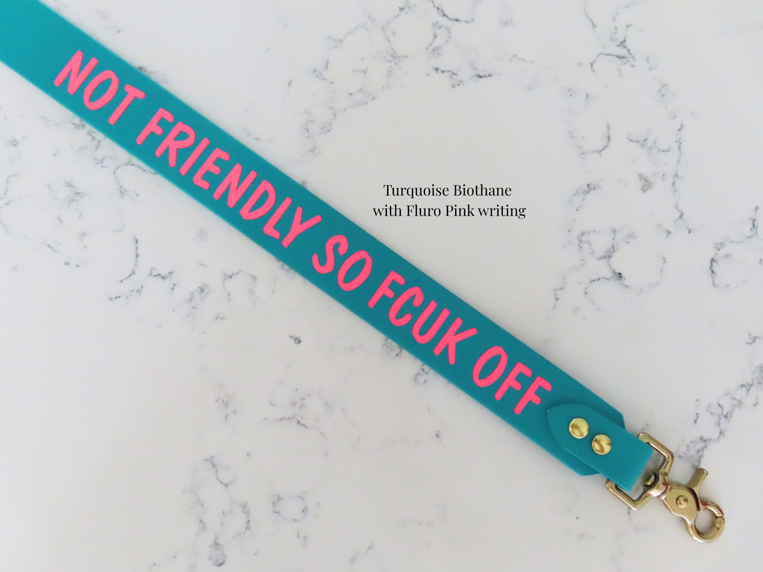 Zero Manners Club - double sided print